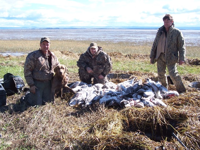 Goose hunting in Canada
